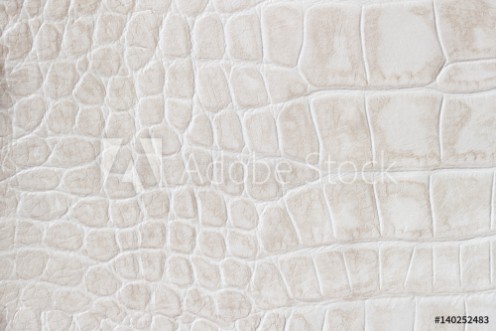 Picture of Fashion cream scales macro exotic background embossed under the skin of a reptile crocodile Texture genuine leather close-up light tones trend